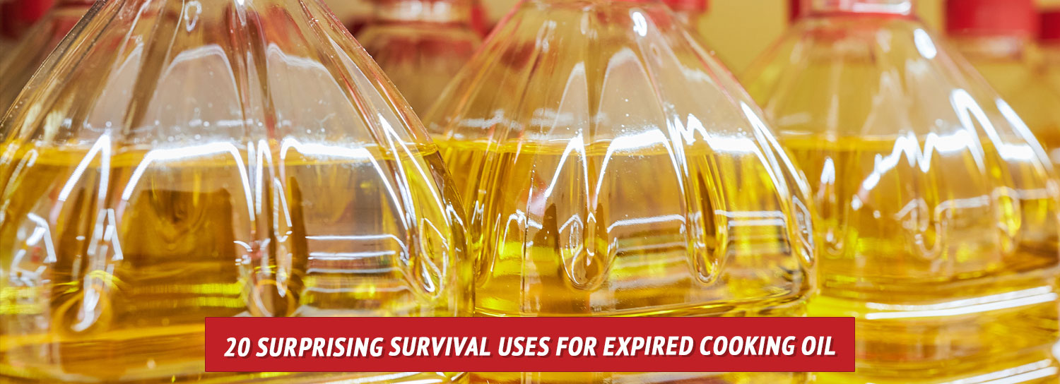 The top halves of cooking oil bottles lined up in a row.