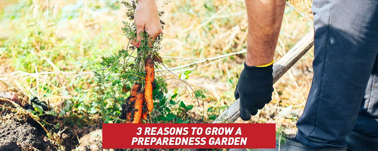 3 Reasons to Grow a Preparedness Garden