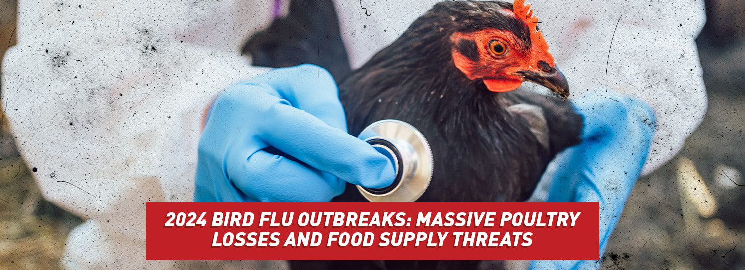 A medical professional in a hazard suit and gloves assessing care of a chicken.