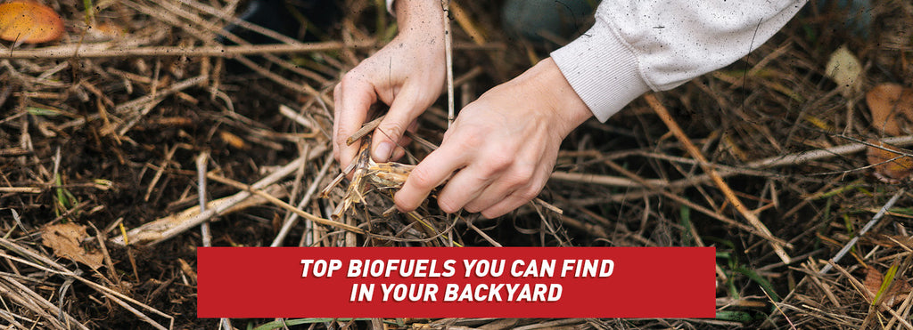 Top Biofuels You Can Find in Your Backyard