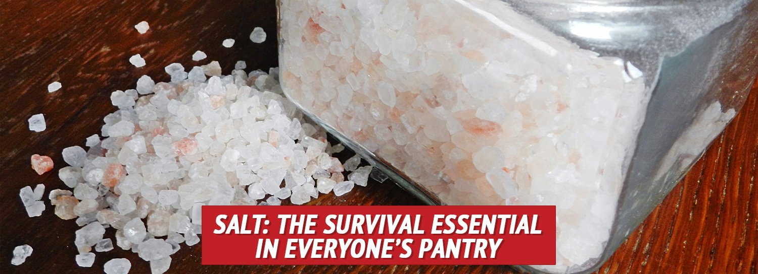 Salt: The Survival Essential in Everyone’s Pantry - My Patriot Supply