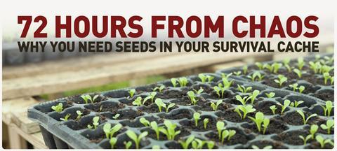 72 Hours From Chaos - Why You Need Seeds - My Patriot Supply