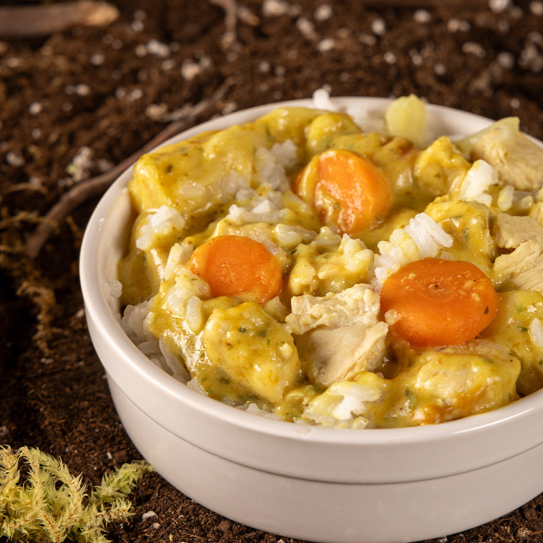 A mouthwatering blend of fluffy white rice, real chicken, and vegetables in a white bowl.