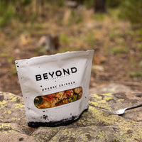 Thumbnail for Orange Chicken by Beyond Outdoor Meals (710 Calories, 2 Servings)