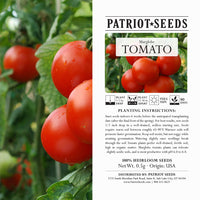 Thumbnail for Heirloom Marglobe Tomato Seeds (.5g) by Patriot Seeds