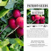 Thumbnail for Heirloom Champion Radish Seeds (4g) by Patriot Seeds