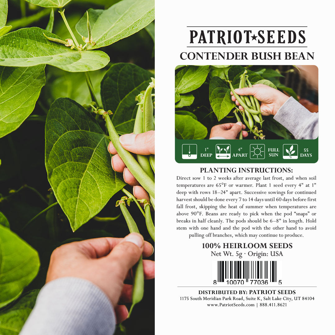 beans-contender-bush-5g-heirloom-non-gmo-seeds-my-patriot-supply