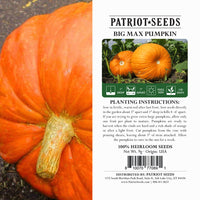 Thumbnail for big max pumpkins package label