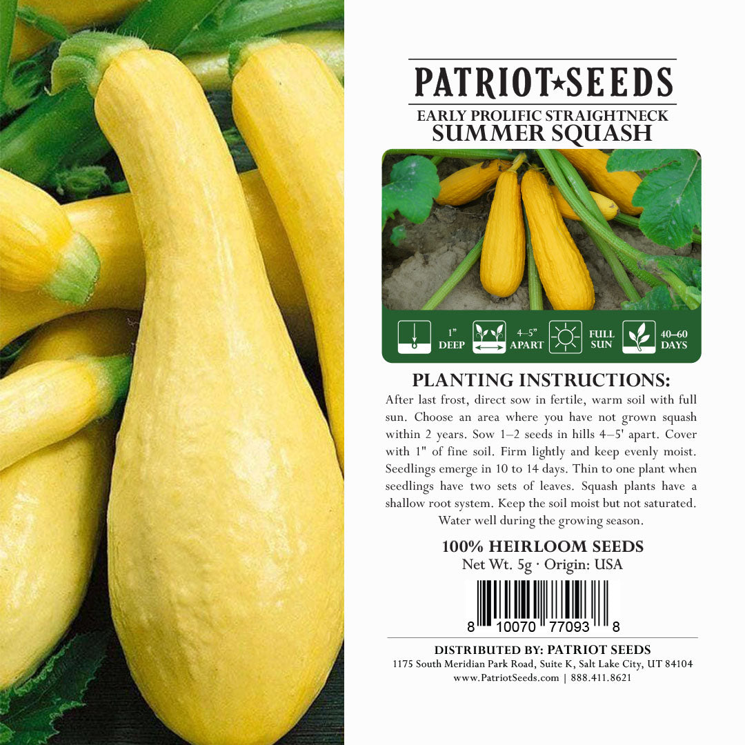 Squash: Early Prolific Straightneck Summer Seeds (5g) Heirloom