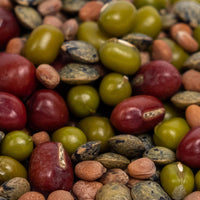 Thumbnail for Organic Bean Salad Mix Sprouting Seeds by Patriot Seeds (4 ounces)