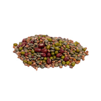 Thumbnail for Organic Bean Salad Mix Sprouting Seeds by Patriot Seeds (4 ounces)