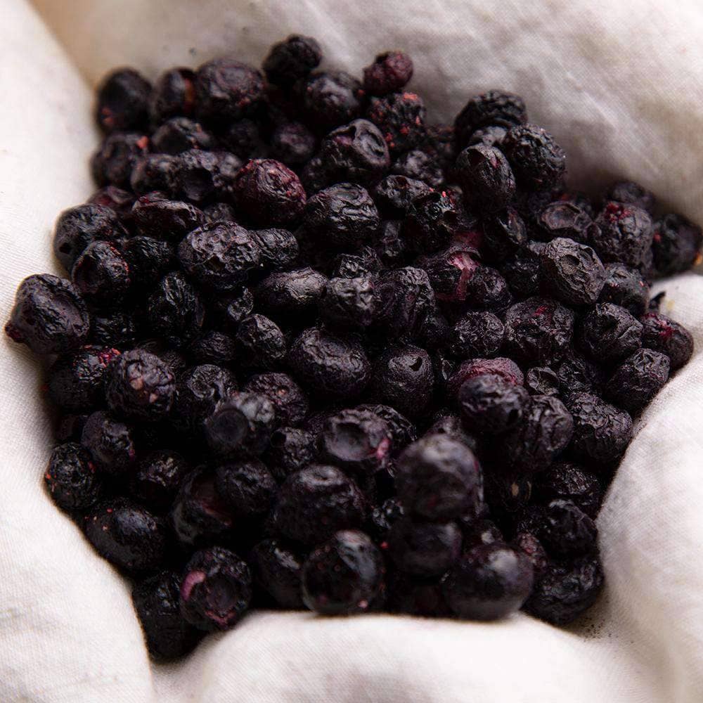 Freeze-Dried Blueberries Case Pack (32 servings, 4 pk.) - My Patriot Supply