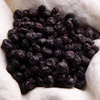 Thumbnail for Freeze-Dried Blueberries Case Pack (32 servings, 4 pk.) - My Patriot Supply