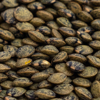 Thumbnail for Organic Green Lentil Sprouting Seeds by Patriot Seeds (4 ounces)