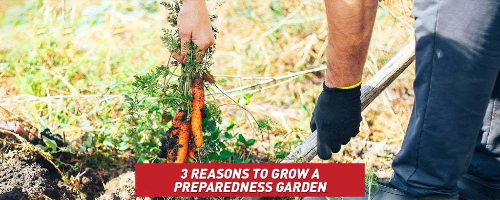 3 Reasons to Grow a Preparedness Garden