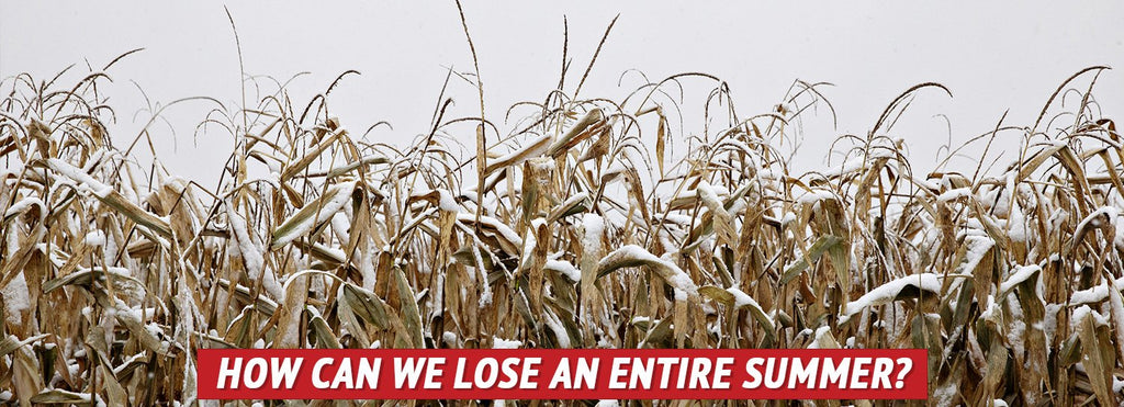 How Can We Lose an Entire Summer?