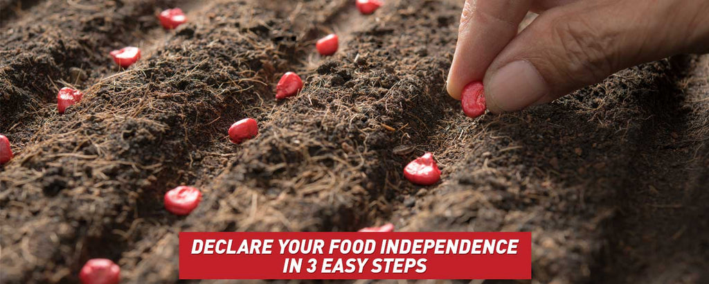 Declare Your Food Independence in 3 Easy Steps