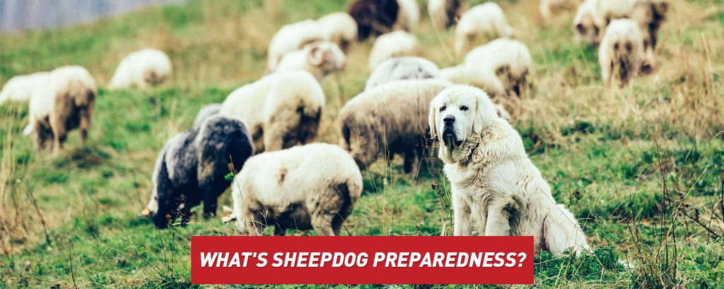 What's Sheepdog Preparedness?