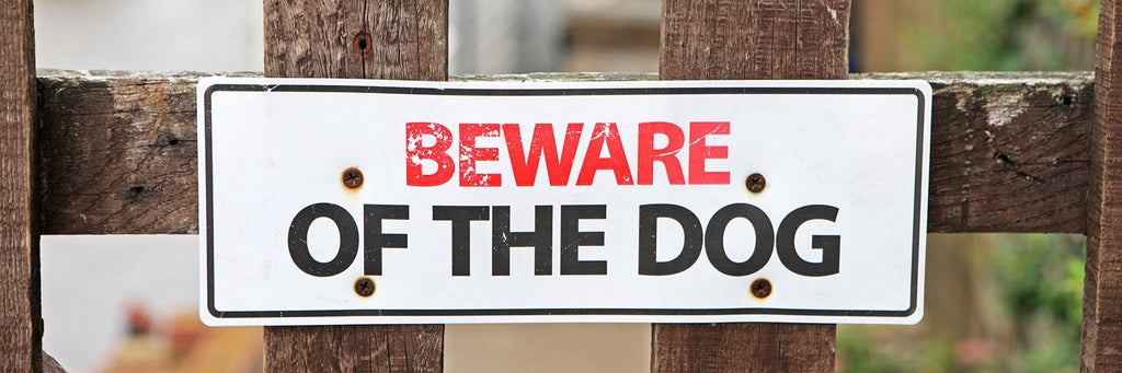 What’s Sheepdog Preparedness? A Deep Look