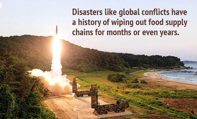 Disasters like global conflicts have a history of wiping out food supply chains for months or even years.