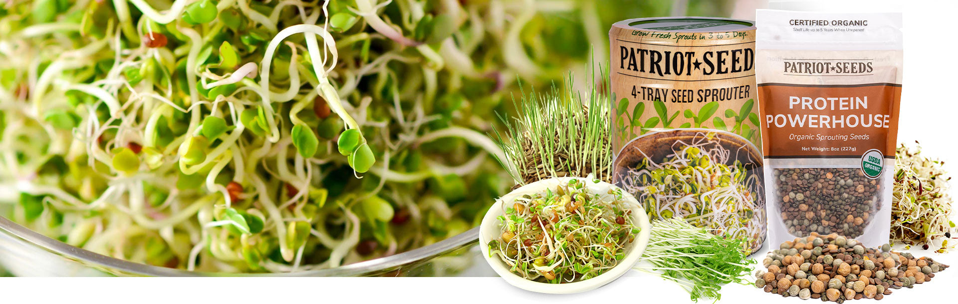 Sprouting Seeds & Microgreens - potent sources of many vitamins, minerals, amino acids
