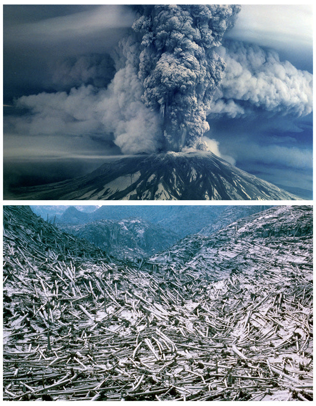 The Eruption of Mount St. Helens in 1980