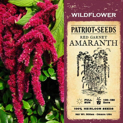 Image of Red Garnet Amaranth Herb Seeds (500mg) - My Patriot Supply