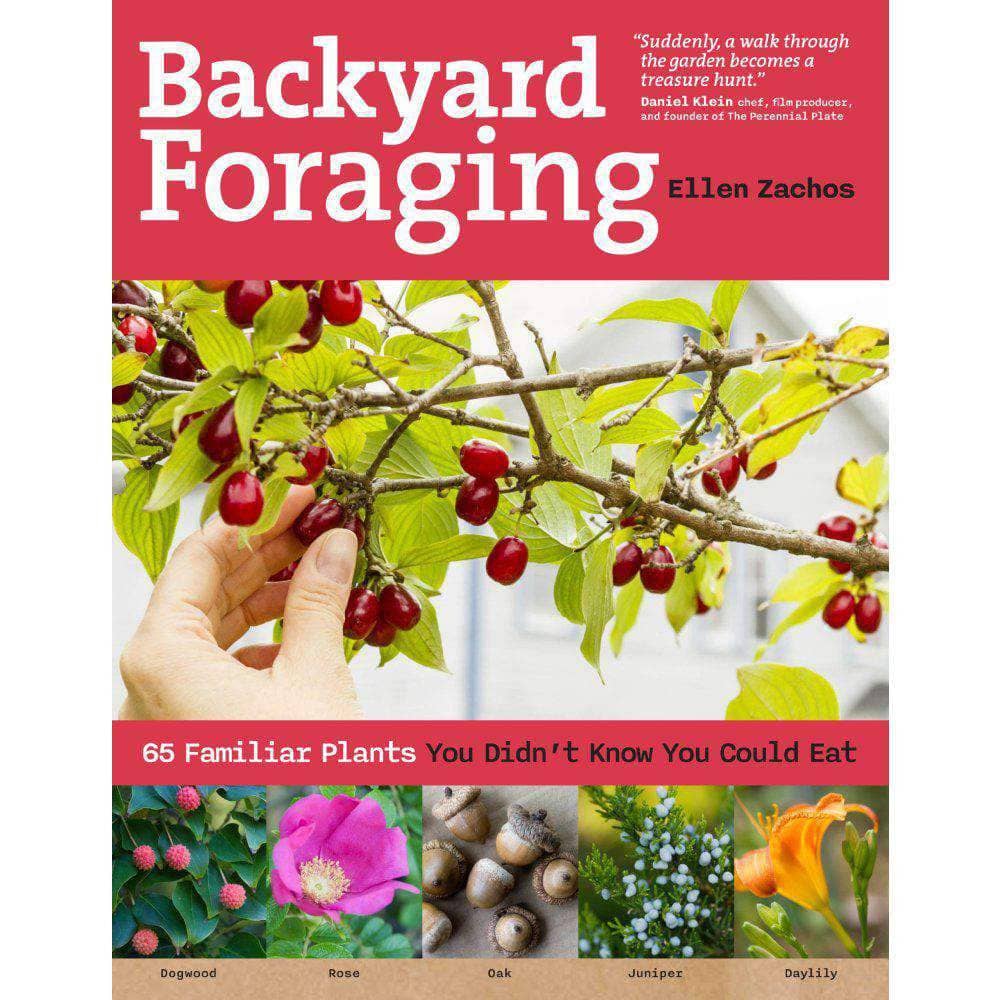 Backyard Foraging: 65 Familiar Plants You Didn’t Know You Could Eat - My Patriot Supply