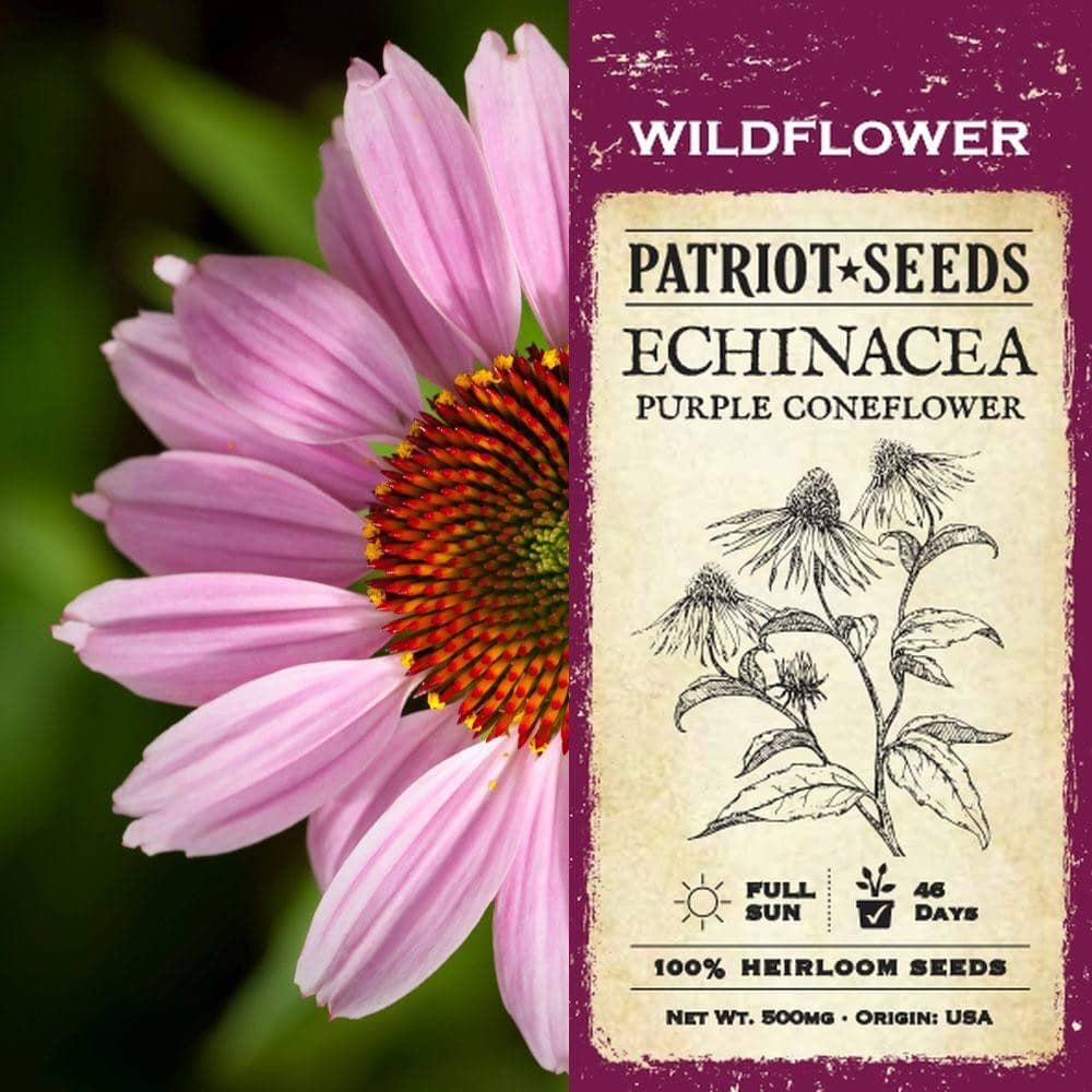 Echinacea Herb Seeds (500mg) - My Patriot Supply