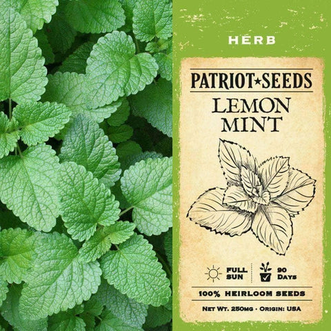 Image of Lemon Mint Herb Seeds (250mg) - My Patriot Supply