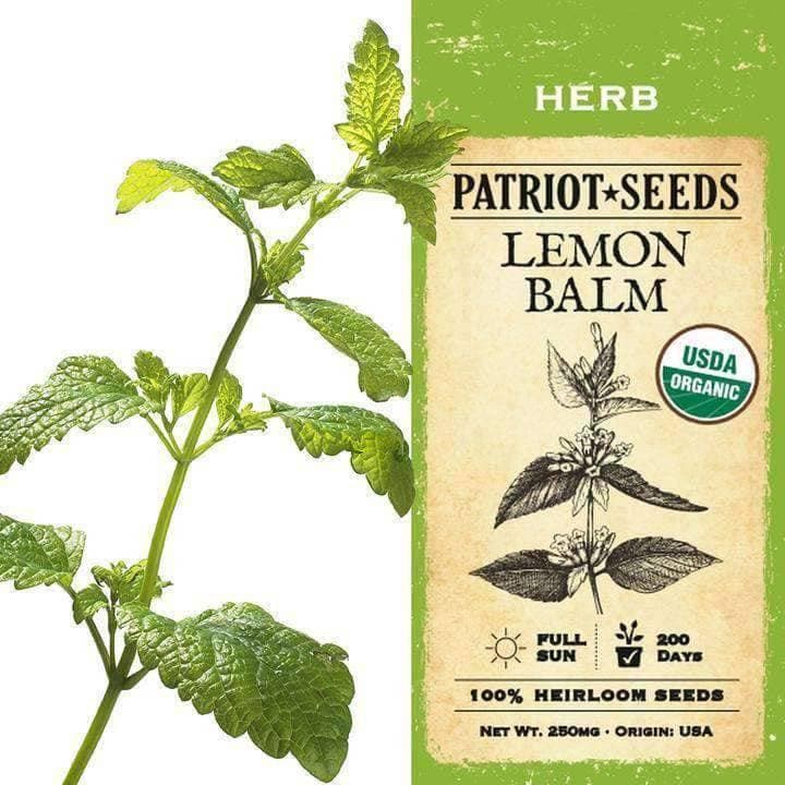 Organic Lemon Balm Herb Seeds (250mg) - My Patriot Supply