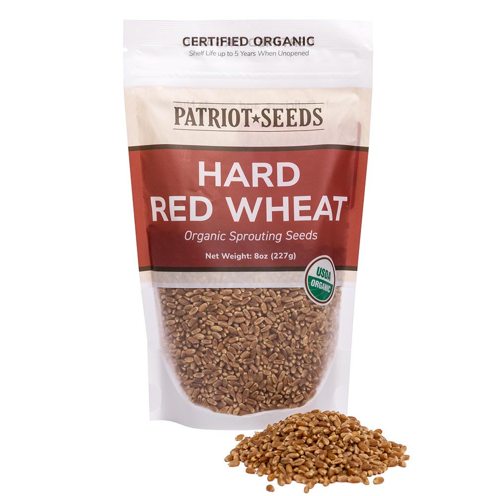 Organic Hard Red Wheat Sprouting Seeds by Patriot Seeds (8 ounces)
