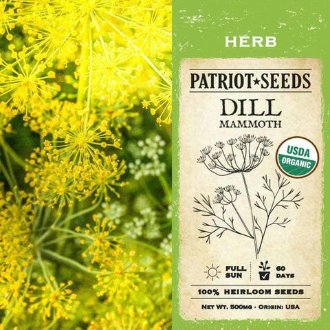Image of Organic Dill Mammoth Herb Seeds (500mg) - My Patriot Supply