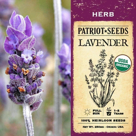Image of Organic Lavender Herb Seeds (250mg) - My Patriot Supply