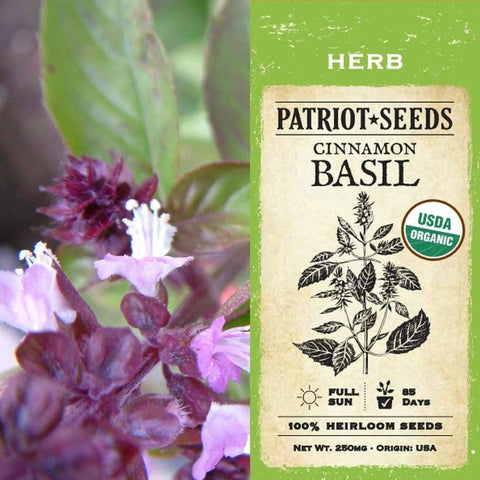 Image of Organic Cinnamon Basil Herb Seeds (250mg) - My Patriot Supply