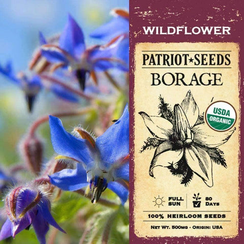 Image of Organic Borage  Wildflower Seeds (500mg) - My Patriot Supply