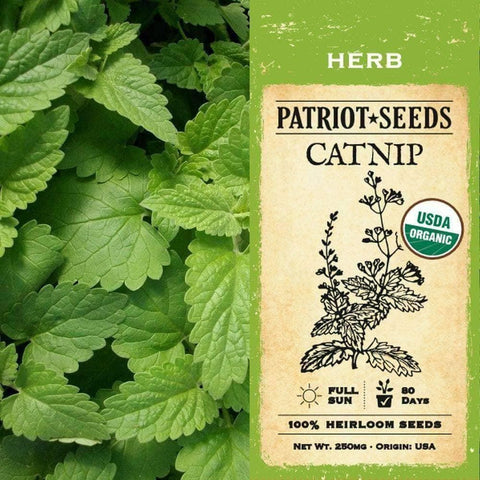 Image of Organic Catnip Herb Seeds (250mg) - My Patriot Supply