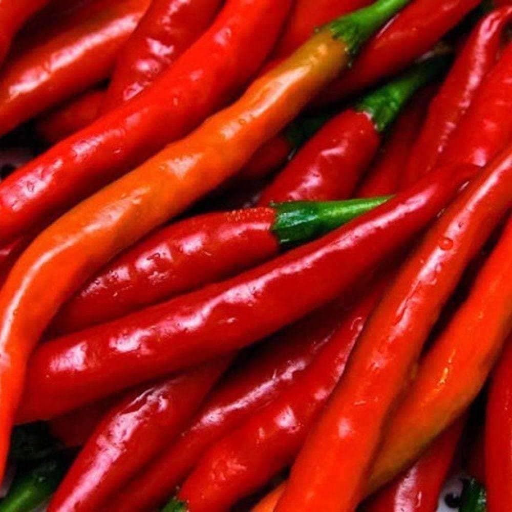 Organic Hot Cayenne Long Red Thin Pepper Seeds (250mg) - My Patriot Supply