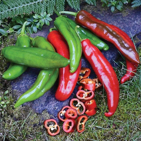 Image of Organic Anaheim Hot Pepper Seeds (250mg) - My Patriot Supply