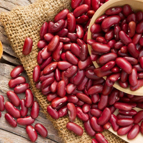 Image of Organic California Light Red Kidney Beans (28g) - My Patriot Supply