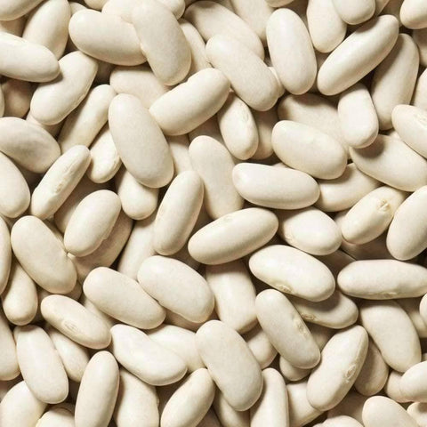 Image of Organic California White Kidney Beans (28g) - My Patriot Supply
