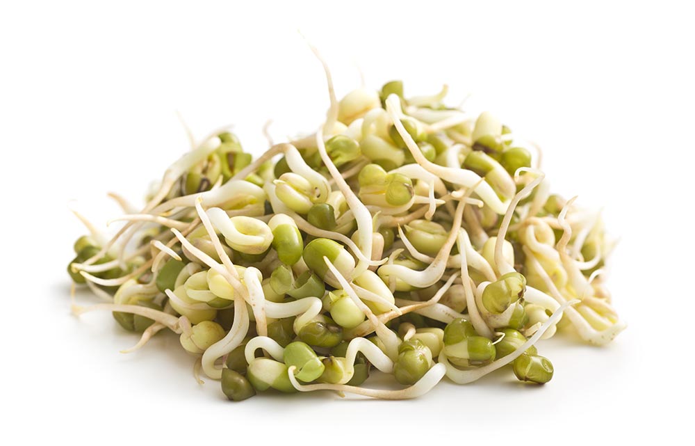 Organic Mung Bean Sprouting Seeds by Patriot Seeds (4 ounces)