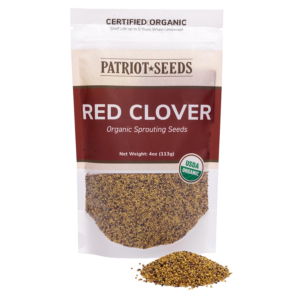 Organic Red Clover Sprouting Seeds by Patriot Seeds (4 ounces)