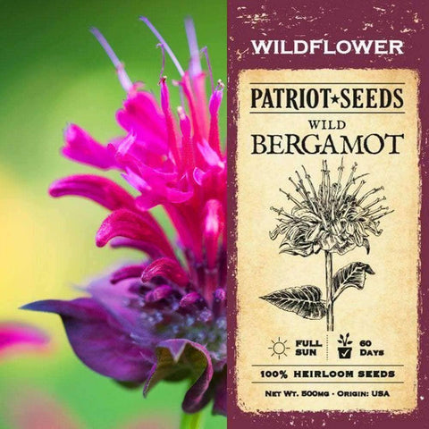 Image of Wild Bergamot Herb Seeds (500mg) - My Patriot Supply