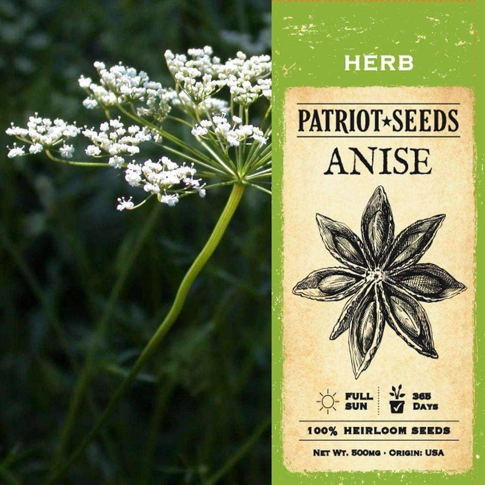 Anise Herb Seeds (500mg) - My Patriot Supply