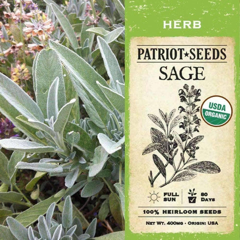 Image of Organic Sage Herb Seeds (400mg) - My Patriot Supply
