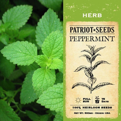 Image of Peppermint Herb Seeds (100mg) - My Patriot Supply